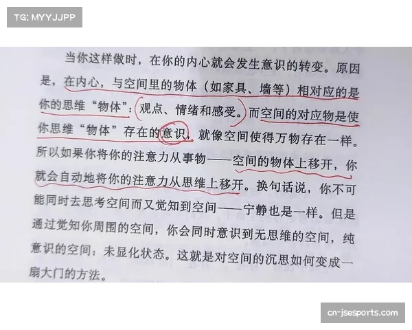 “小级别”与“大级别”的训练哲学差异：技术精度与绝对力量的博弈